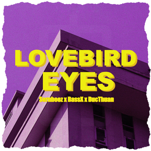 Lovebird Eyes