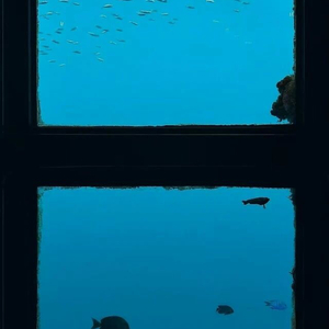 沉