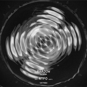Paradigm (Ntfo Remix)