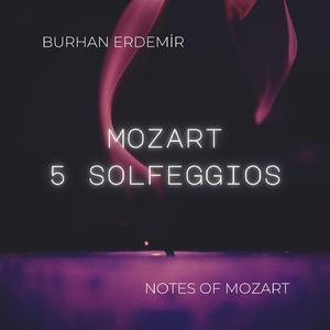 Solfeggio, K393/385b: No. 1 in C major - Allegro