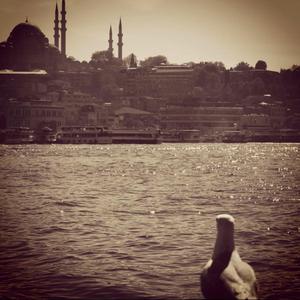 Abacılar'dan Gökçınar'a (feat. Yiğit Dalgın)