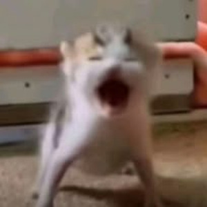 ENCHULETIAO (slowed)