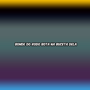 BONDE DO RODO BOTA NA BUCETA DELA
