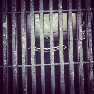 性别（翻自 范忆堂）