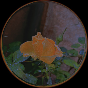 不想让你知道（cover - 周蕙）