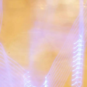 他对我说（classic guitar）