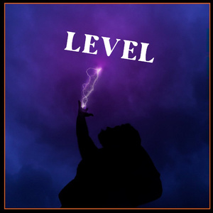 LEVEL