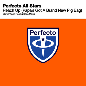 Reach Up (Papa's Got A Brand New Pig Bag) (Flesh & Bone Remix)