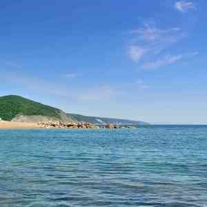 没有结果 (长笛)