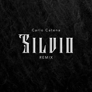 Silvio (Remix)