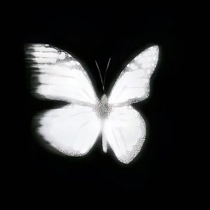 苍白_demo（Prod By 牙刷/redjon）