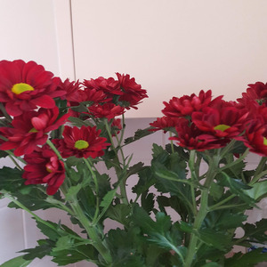 Auld Lang Syne (chamber)