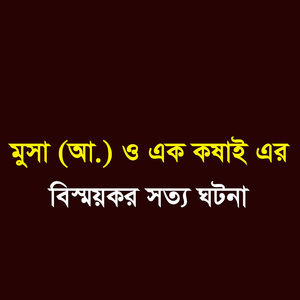 মুসা (আ.) ও এক কষাই এর বিস্ময়কর সত্য ঘটনা