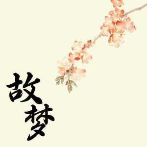【当古风遇见钢琴】故梦