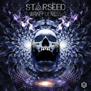 Wakefulness (Original Mix)