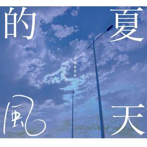 夏天的风（翻自 刘瑞琦）