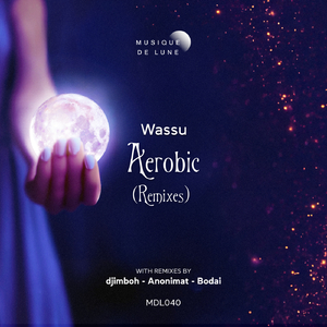Aerobic (Bodai Remix)