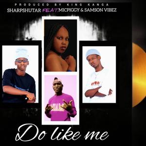 Do Like Me (feat. Micpiggy Bremmer & Samson Vibez)