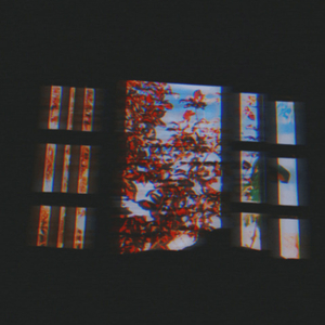 Blurred Memories (Unreleased)