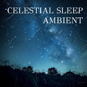 疲れを癒す森のハーモニー