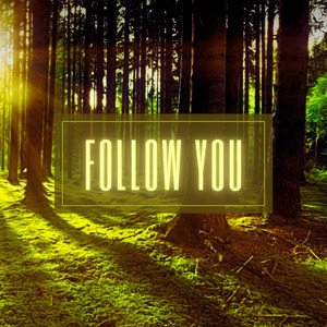 Follow You