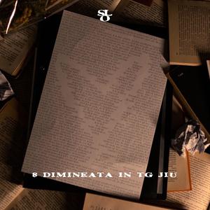 8 Dimineata in Tg-Jiu