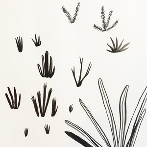 You're My Everything