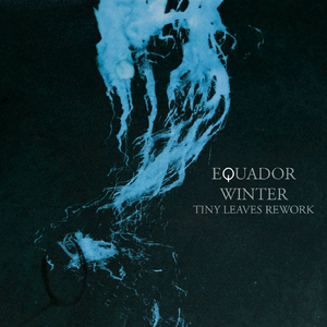 Winter - Tiny Leaves Rework