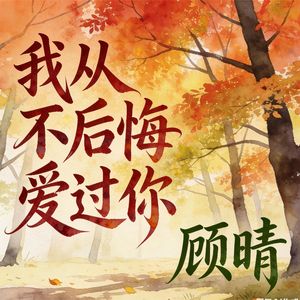 我从不后悔爱过你