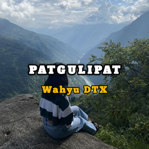 Patgulipat