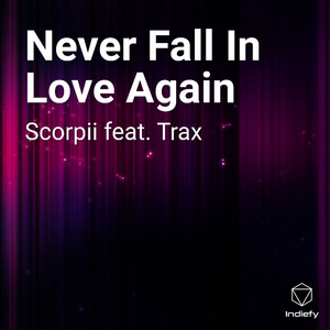 Never Fall In Love Again