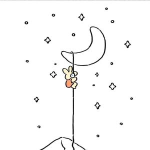 星