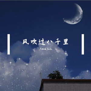 苏星婕 - 风吹过八千里（TobinL / Luna remix）