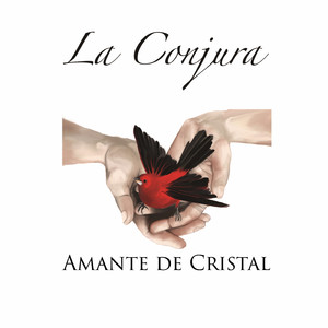 Amante De Cristal