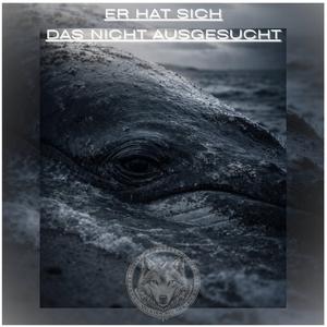 Er hat sich das nicht ausgesucht