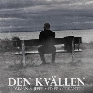 Den kvällen