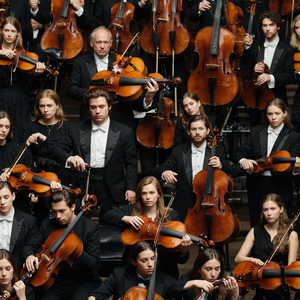 Whimsical Adventures