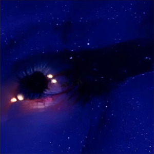 Если я люблю / Слабость