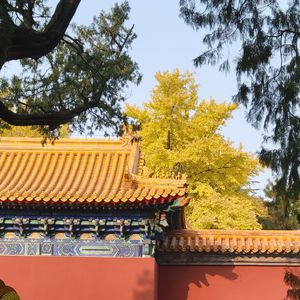 天下武功出少林
