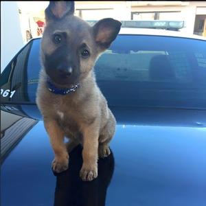 我想回到过去Demo6