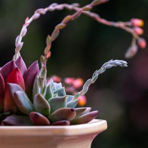 优雅的温柔 (优美轻音乐)