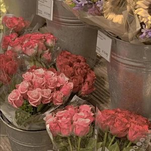 Various Artists-Yummy （slowed）（Billie remix）