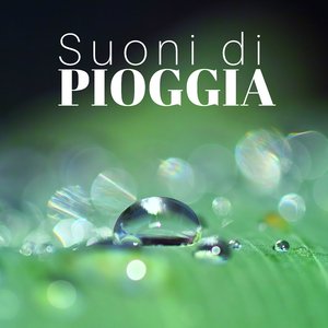 Suoni di Pioggia