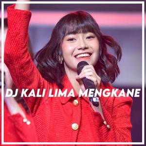 DJ JANGAN NGAREP V2