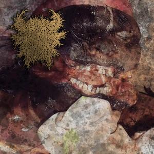 Desensitised (Regurgitation) (feat. xCxFxBx)