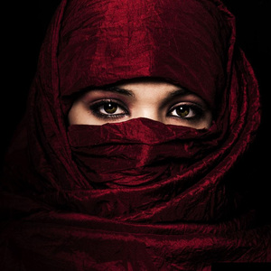 Fish-Silk Road(Hamelin Bootleg)