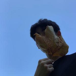 为什么只听DJ不听情歌(DJ杨辰版)