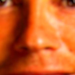 I really like dinosaurs