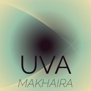 Hizballah Functioning