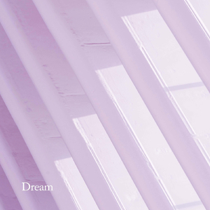 Gentle Dreams in Stardust